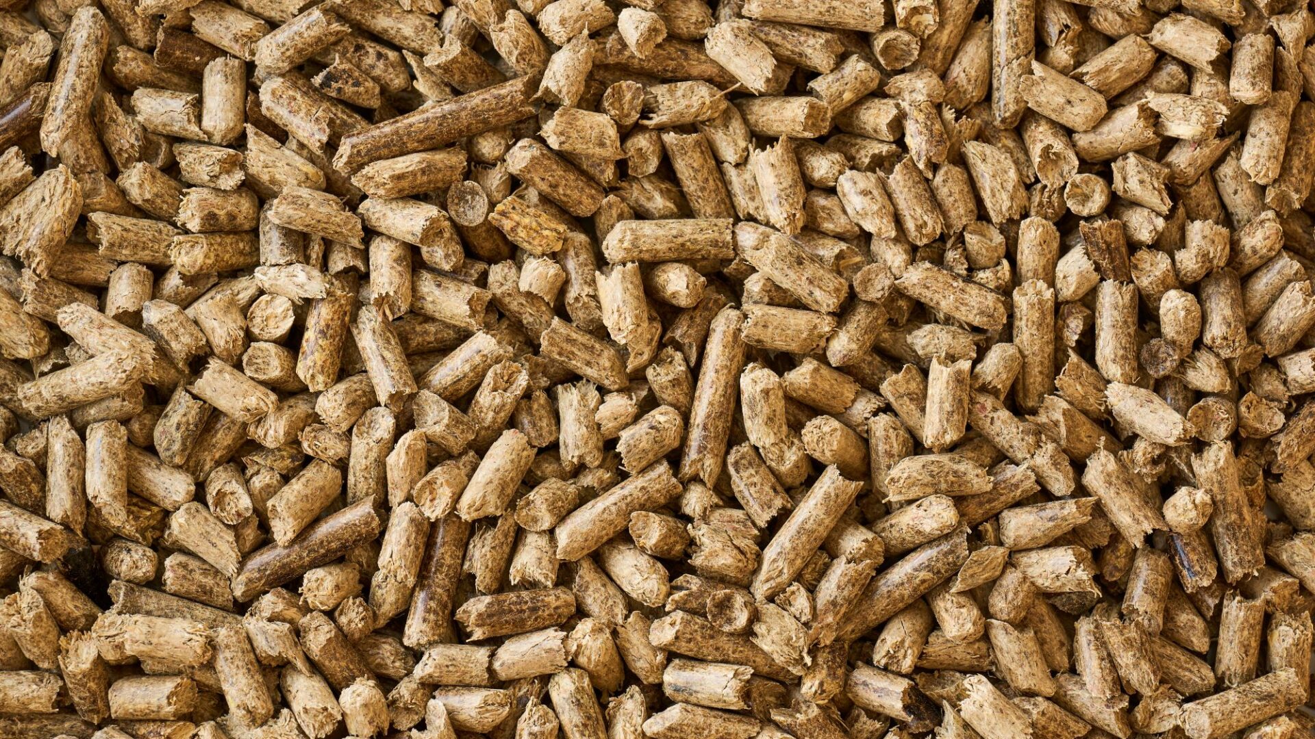 Sugarcane Trash Pellets